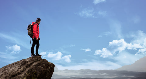 Plucked From Our Favorite Painting and Drawing